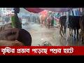 রাজধানীর কোরবানির পশুর হাট: প্রভাব পড়েছে বৃষ্টির | DBC NEWS