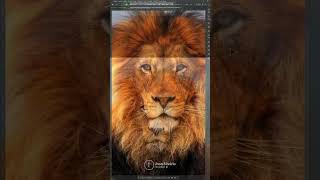 UPSCALE NA IA DO PHOTOSHOP #designgráfico #photoshop #photoshopbrasil #shorts