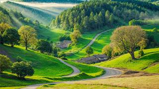 Beautiful Relaxing Music - Stop Overthinking, Stress Relief Music, Sleep Music, Calming Music #829