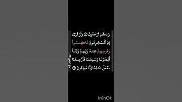 ايه من سوره السجده تقشعر منها الابدان