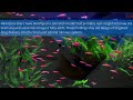 NIH Science in Seconds - Week of May 8, 2023