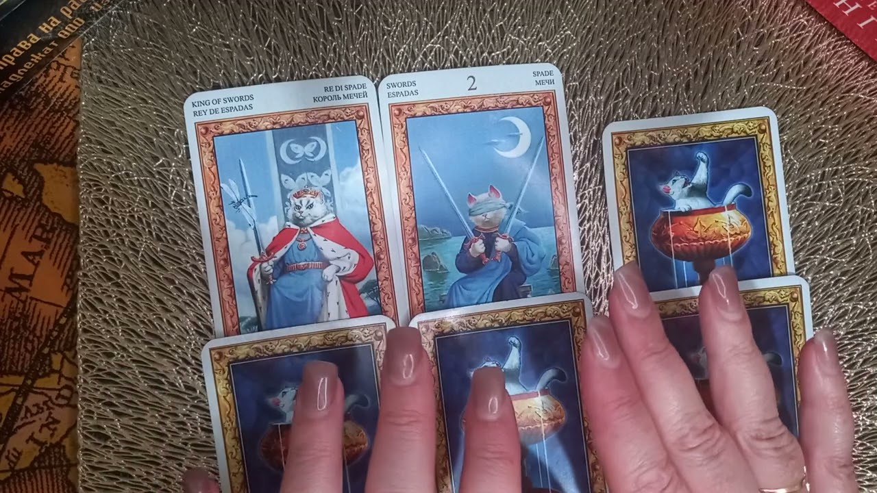 Как портнер переносит разлуку с Вами?