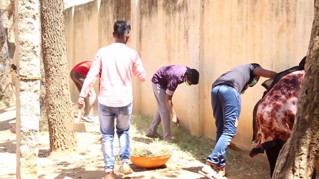 National Service Scheme YouTube