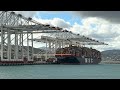 400 Meter Inside Msc ship tour🛳️💀😍 #vlog #ship #msc