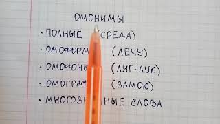 Что такое омонимы в русском языке и чем различаются полные и неполные омонимы - объяснение и примеры
