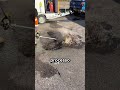 Conserto de rachadura em asfalto 🛣️