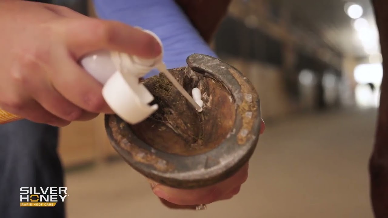 Silver Honey Rapid Hoof Care THRUSH FOAM