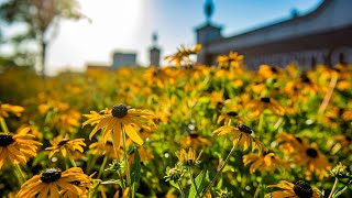 Spring 2022 Commencement - Undergraduate Students - Afternoon