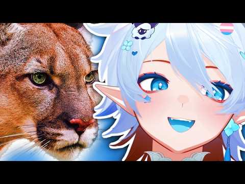 FEMBOY TRAVELS TO ARGENTINA!