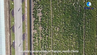 Smart agricultural park paves the way for future seeding