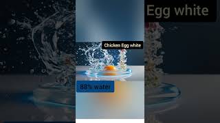 Chicken Egg White Composition 🥚🐔@SciFoodTech #foodscience #food #foodchemistry egg #eggwhite