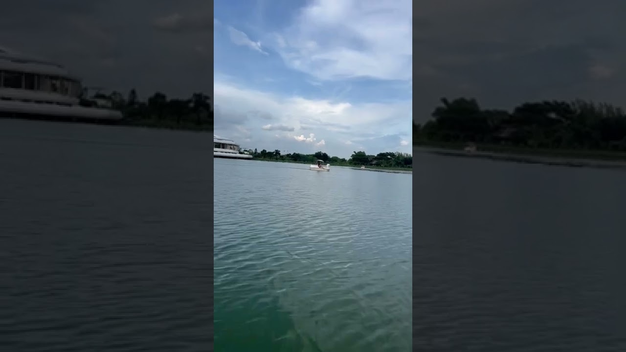 Let's ride a duck boat.