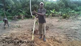 Kingboost Farms Tomatoes Preparation And Clearing Of Land