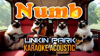 Karaoke Acoustic Numb linkin Park Karaoke Acoustic Siamesecat