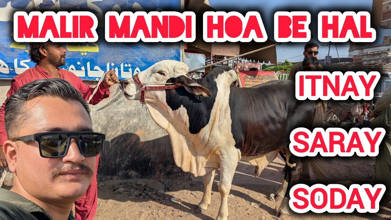 Malir Mandi Updates | 20-Jan-2026 Bharpoor Soday AJ Mandi Ke Badtareen Position ALLAH Reham Kare