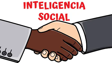 ¿Cuáles son los 4 elementos de la inteligencia social?