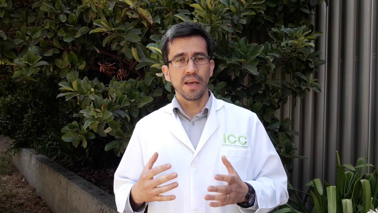 Brain Up 10 Mente Activa