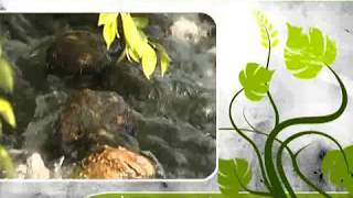 Fethullah Gülen Fkm 33 İktisadın Lüzumu 11 06 1993