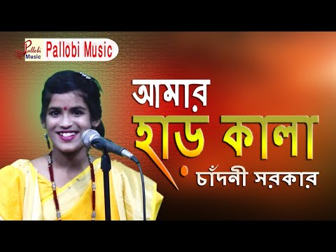 Amar har kala korlam re । আমার হাড় কালা করলাম রে । songs of Jasimuddin ।চাঁদনী সরকার
