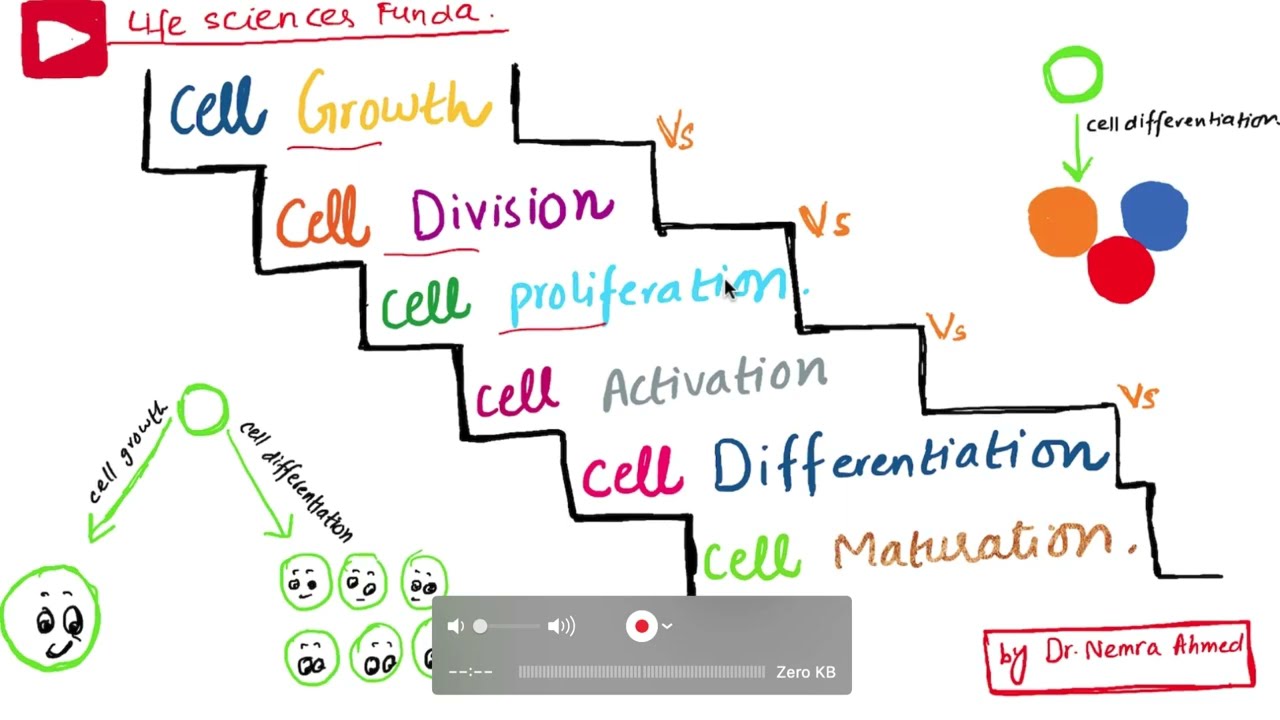 Cell growth VS Cell proliferation VS Cell differentiation VS Cell activation VS ....in Urdu/Hindi