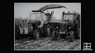 Körnermaisernte DDR 1971 Bezirk Cottbus