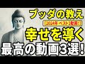 【ブッダの教え】『2024年 ベスト３動画』人生の本質を問いかける3つの動画を厳選！