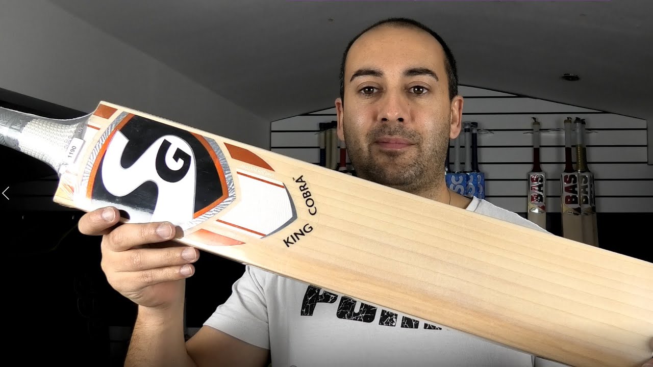 dsc cobra cricket bat