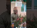 Sai Jagaba Sai Kashim Sabuwar Wakar Dauda Kahutu Rarara Daudakahuturarara Kano Duet Trending