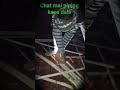 lanter piping #yogesh electrician 024 #shorts