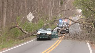 Tree falls on car, driver rescued near Manslick Road in Louisville, police say