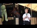 Felicia Wallin: Inside the Stables with Richard Vogel's Groom | Spruce Meadows 'Masters'