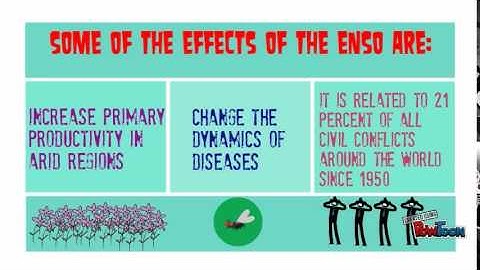 Functional Diversity II