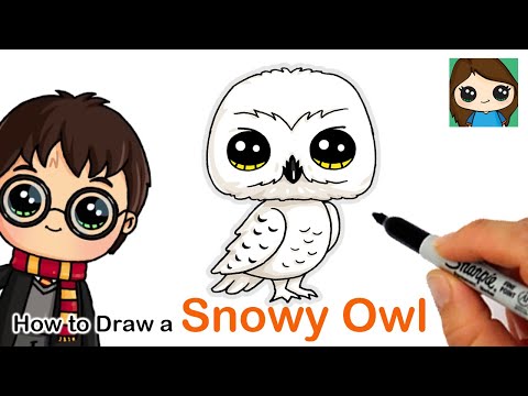 How to Draw Snowy Owl Hedwig | Harry Potter