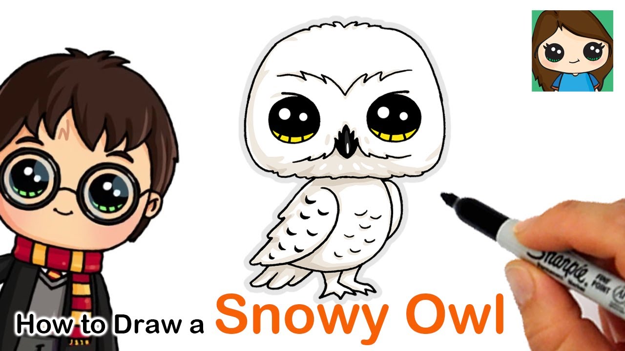 How to Draw HEDWIG | Step by Step Tutorial | easy 🦉🦉🦉 - YouTube