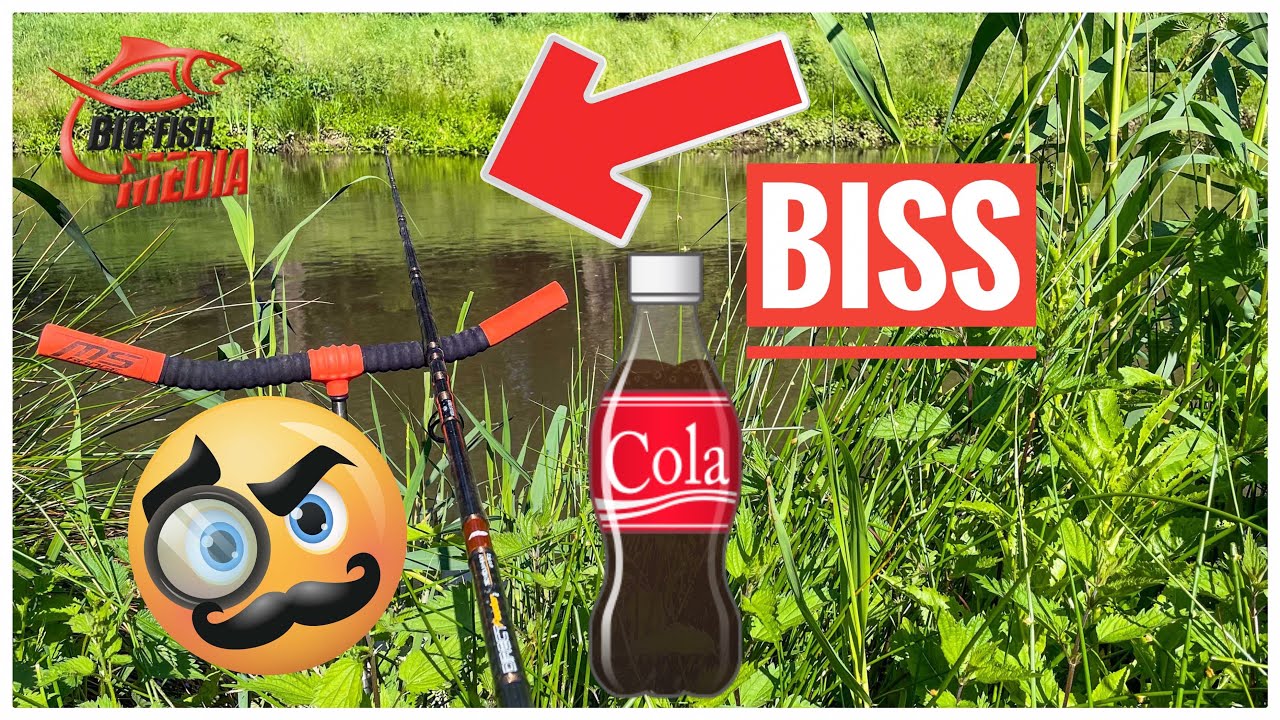 ANGELN im FLUSS - COLA lockt FISCHE?- GENIAL oder SCHWACHSINN?