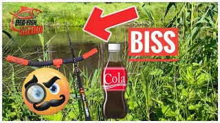 ANGELN im FLUSS - COLA lockt FISCHE?- GENIAL oder SCHWACHSINN?