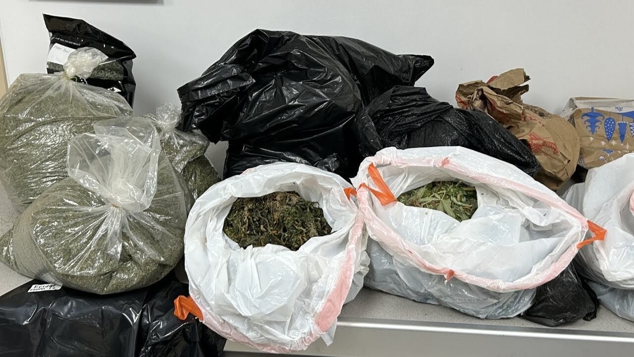 Police uncover marijuana grow operation inside Kings Mountain business | WSOC-T V