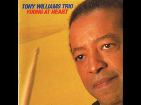 Tony Williams Trio – Young At Heart | Releases | Discogs