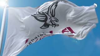 β¨Flag Logo Reveal β Waving Fabric Animation for National or Brand Identity E388