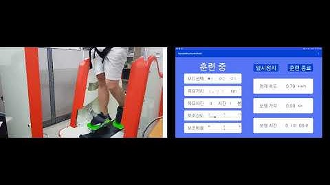 End-effector Typed Walking Rehabilitation Robot