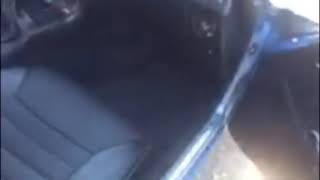 IMG 15961