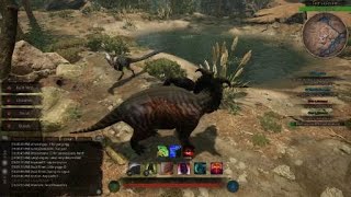 Two dead Ceratopsian Babies RB