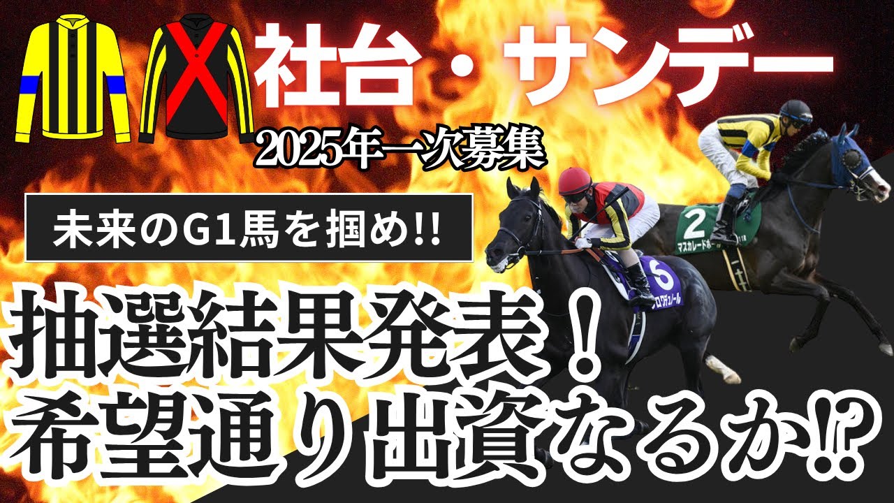 一口馬主】未来のG1馬を探せ企画！40口社台サンデー運命の抽選結果発表