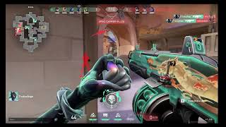 Second Ace Vyse 5 Judge