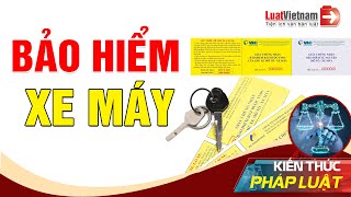 Bảo Hiểm Xe Máy: Toàn Bộ Quy Định Người Dân Cần Biết | LuatVietnam