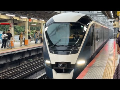 E261系 特急サフィール踊り子2号 東京行 横浜駅入線シーン