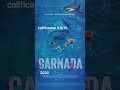 Carnada 2024. Algo tan genérico estuvo en cines