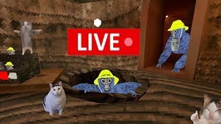 Gorilla Tag Stream Custom Maps