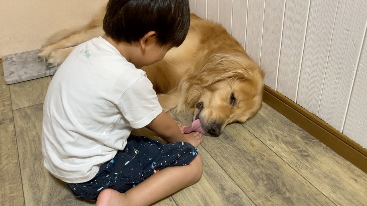 愛犬に手を舐められる快感を、５歳で覚えてしまった