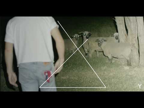 MOJO - Izzy N. Griffin [HEIR: VISUALIZER]